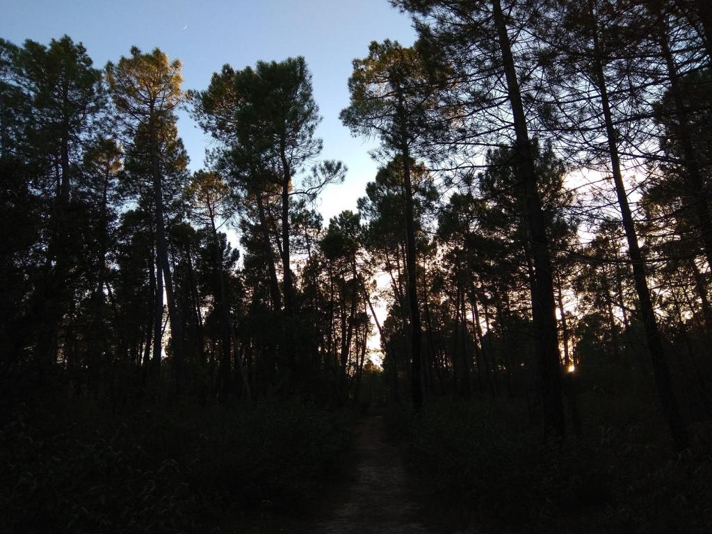 Rural Arco Iris - 14