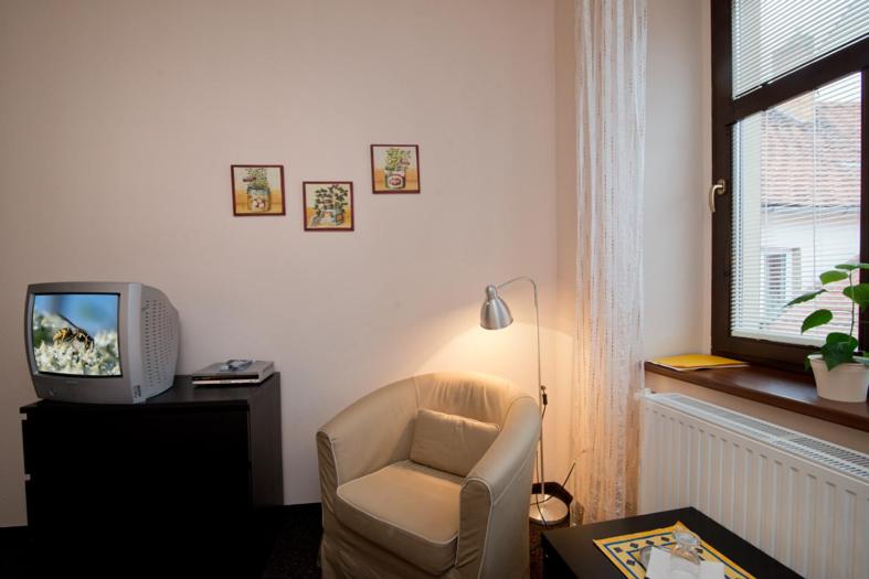 TV a/nebo společenská místnost v ubytování Hotel U Zlatého býka