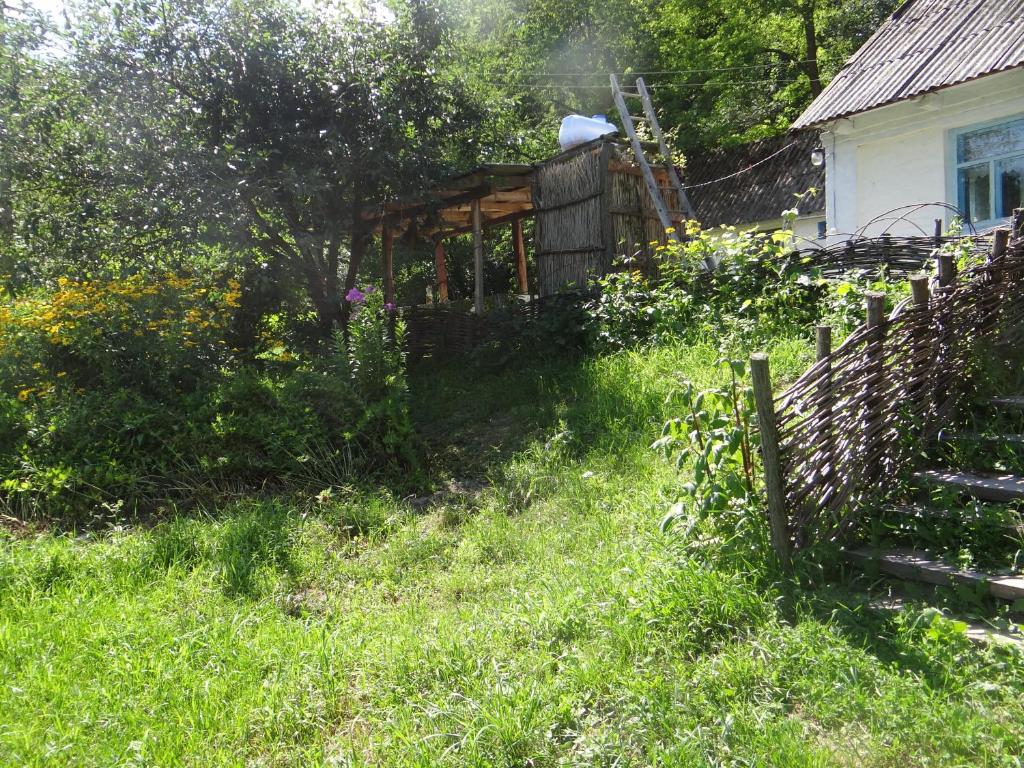 A garden outside Maliovnytsya