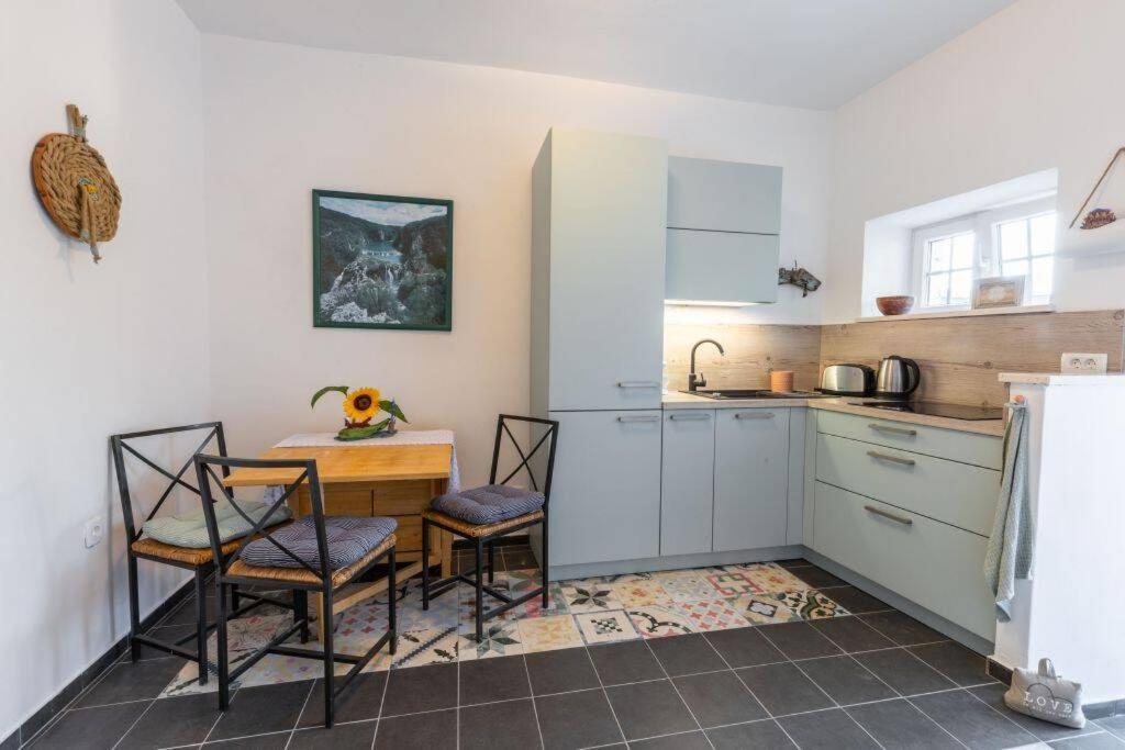 kuchnia ze stołem, krzesłami i lodówką w obiekcie Apartment Amula w Korčuli