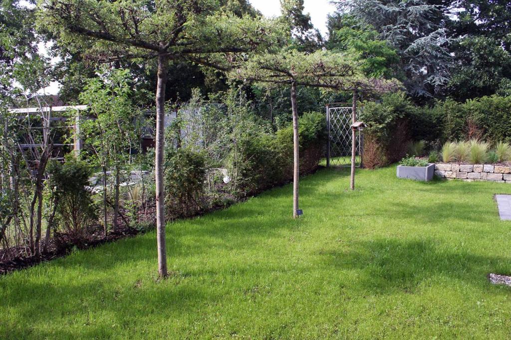 Zahrada ubytování Cube-House Ferienhaus in Franken
