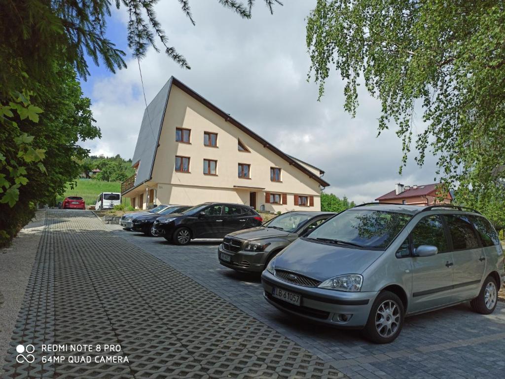 Fotografia z galérie ubytovania Willa Mała Beskidzka v destinácii Wisła