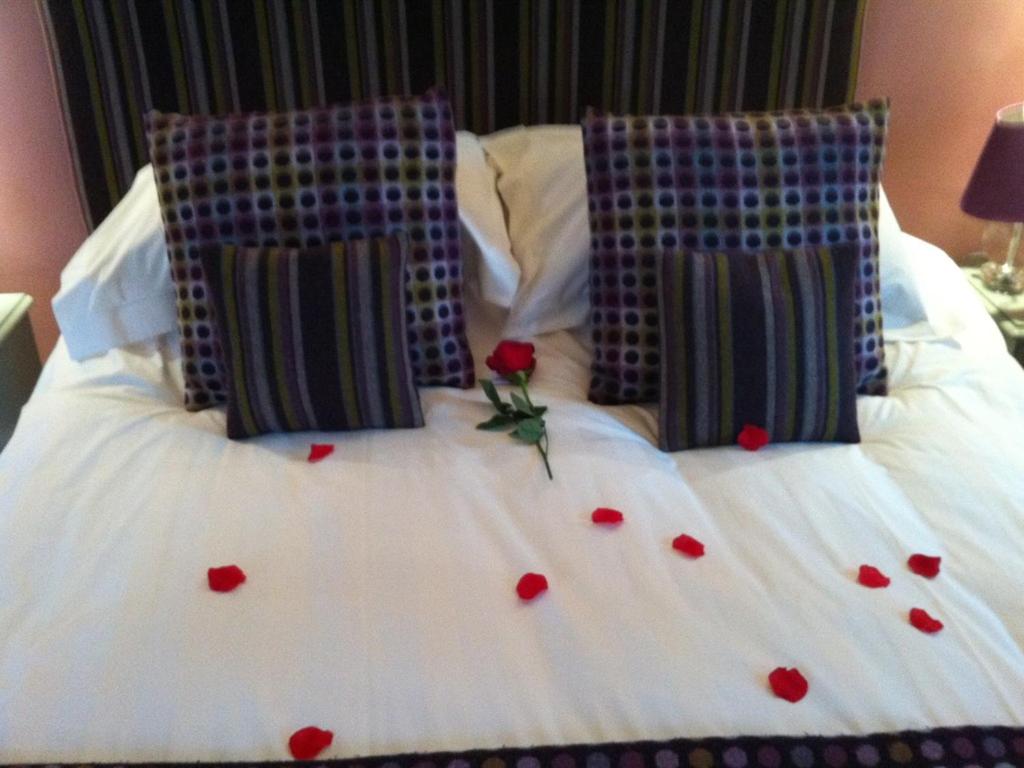 a white bed with red rose pedals on it at Blas Gwyr in Llangennith