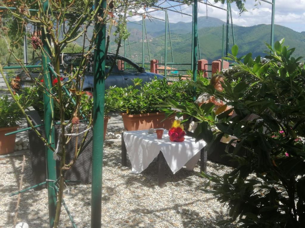 Zahrada ubytování Rooms and Breakfast da Carla