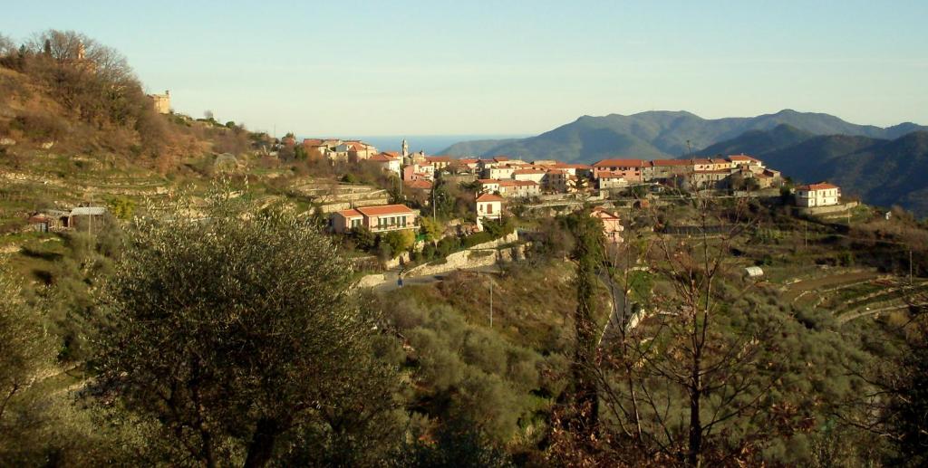 un pueblo en una colina con casas y árboles en Agriturismo Il glicine e la lucerna - Appartamento Scala en Ranzo-Borgo