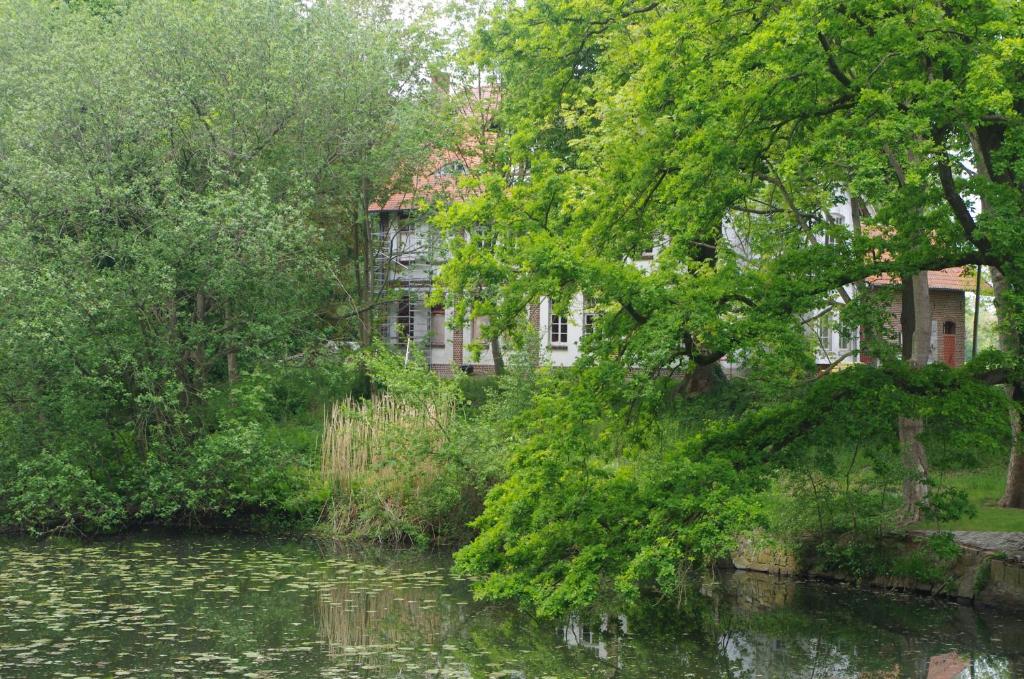a river with trees and a building in the background at Zöllnerhaus Nordhorn in Nordhorn