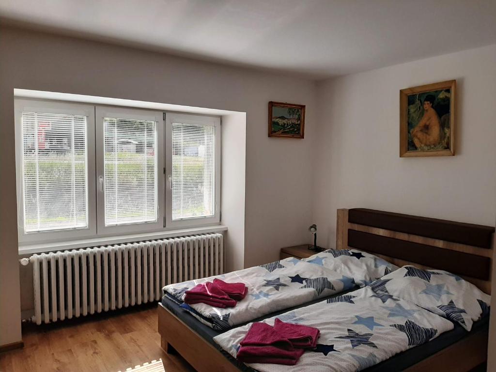 a bedroom with a bed and two windows at Ubytovanie Janka in Handlová