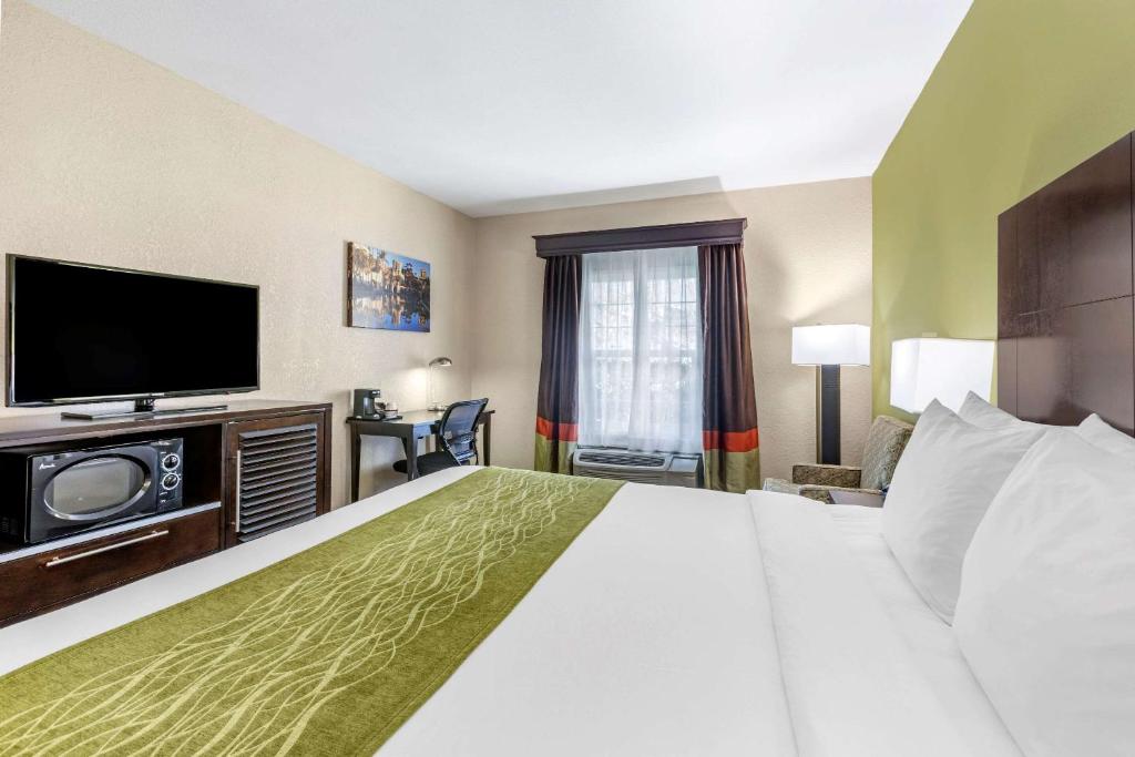 Comfort Inn San Diego Old Town - Standard Room, 1 King Bed, Non Smoking