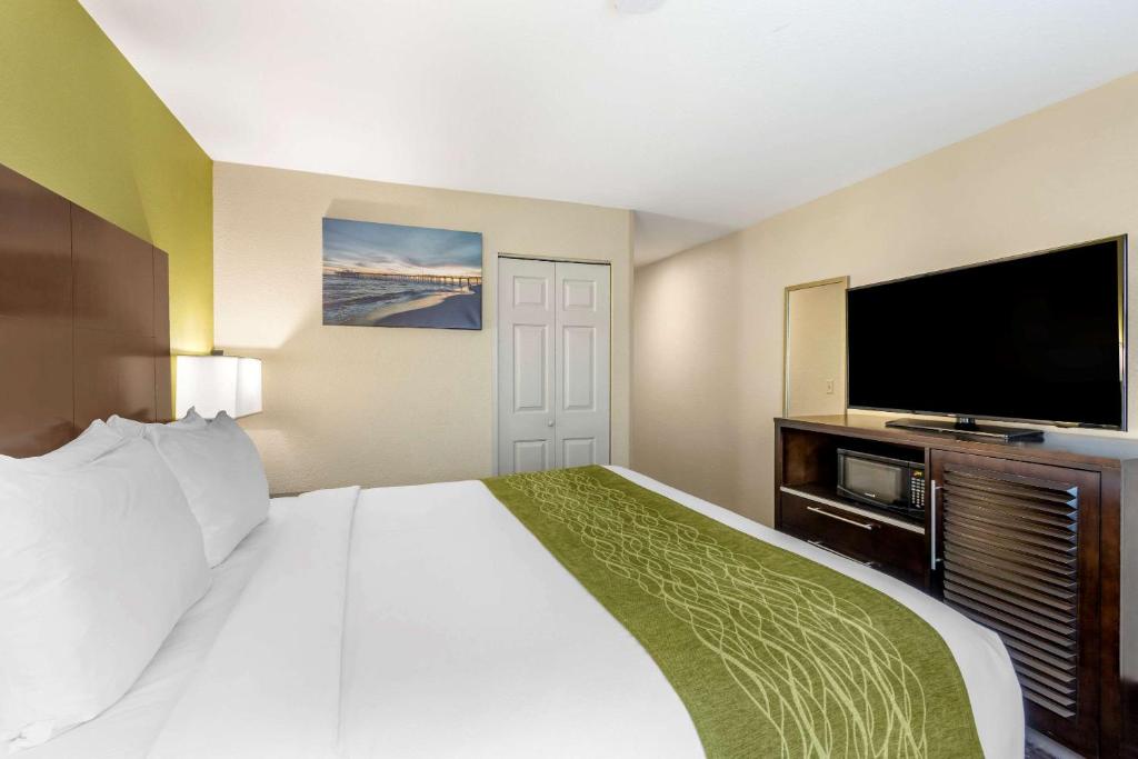 Comfort Inn San Diego Old Town - Suite, 1 King Bed With Sofa Bed, Non Smoking