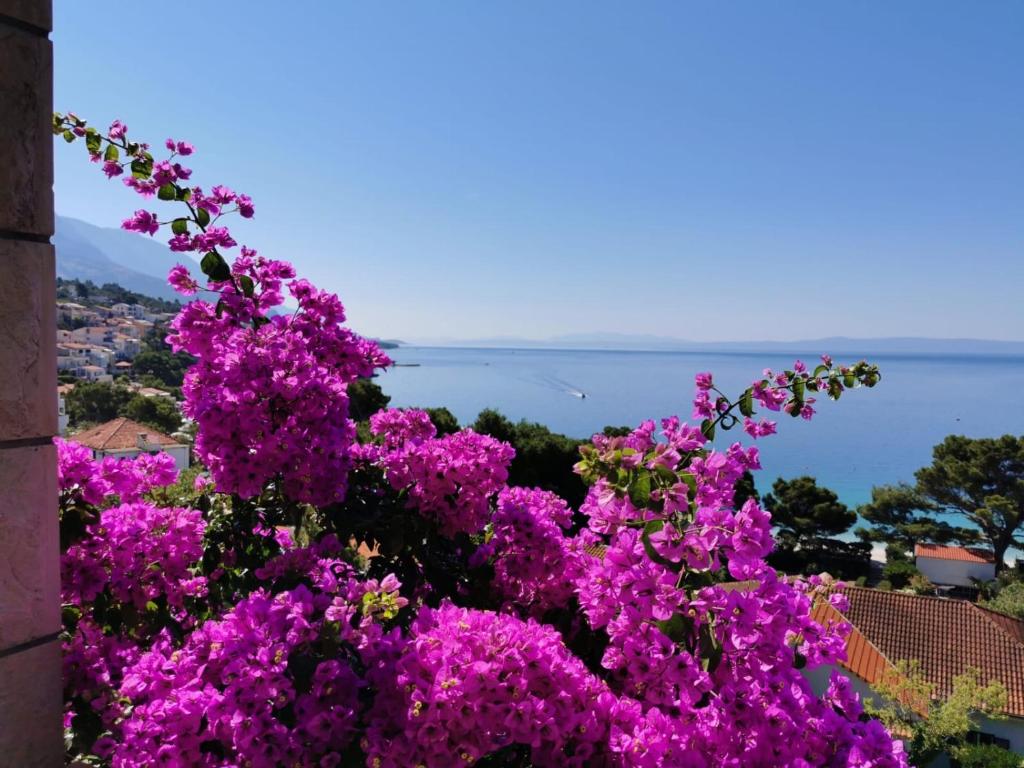 Villa BOSE - Studio With Balcony And Sea View