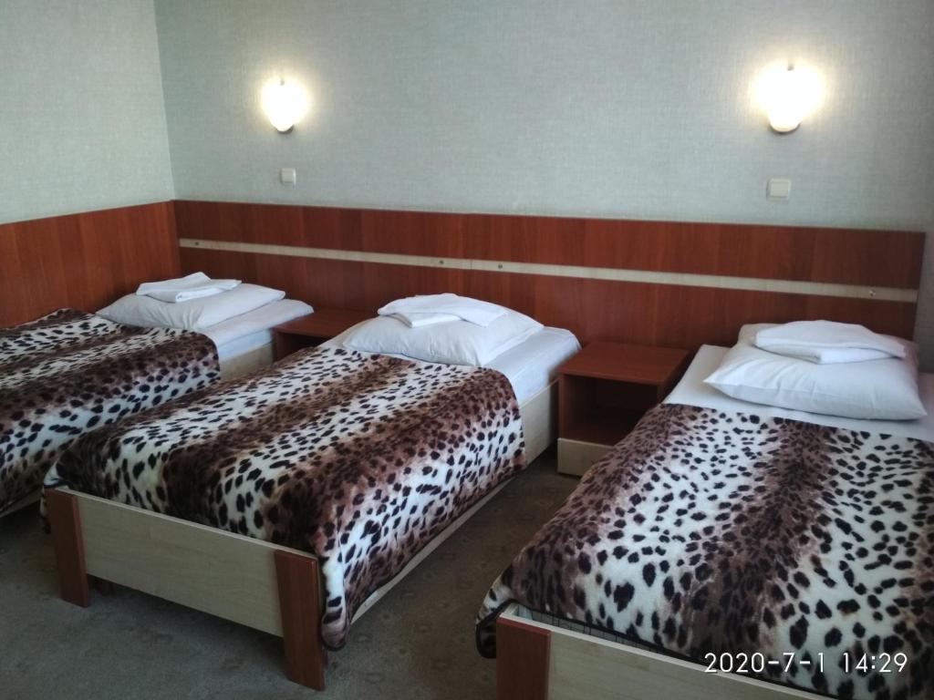 Postel nebo postele na pokoji v ubytování Complex Druzhba