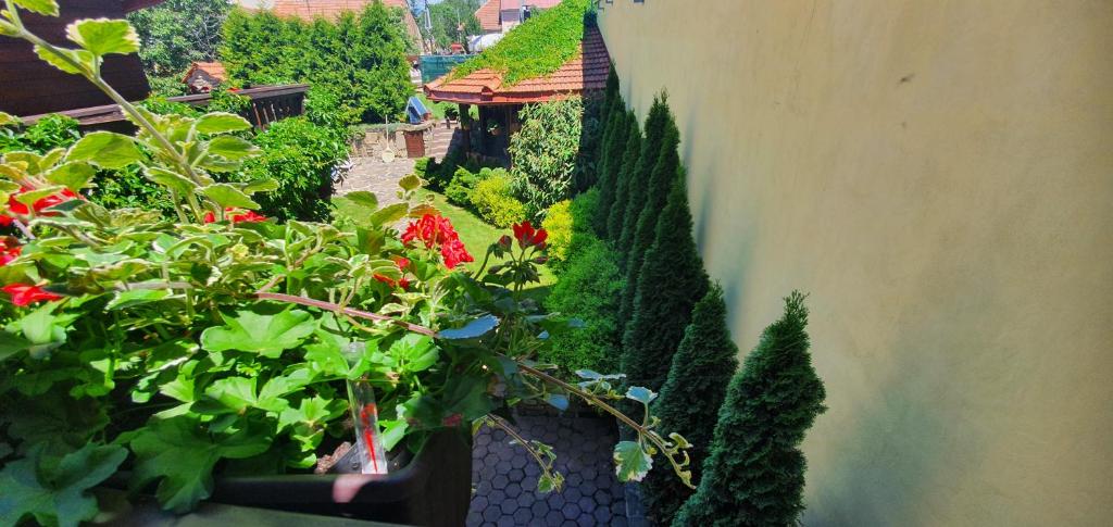 Zahrada ubytování Ubytovanie U Babky