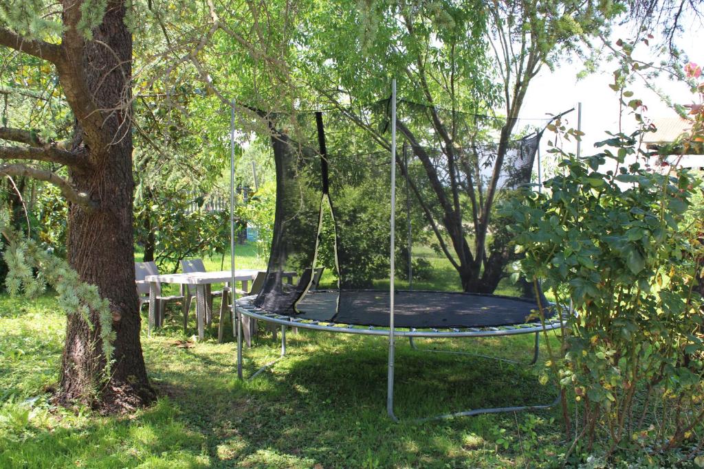 Zahrada ubytování B&B Airport Venice Diego 2