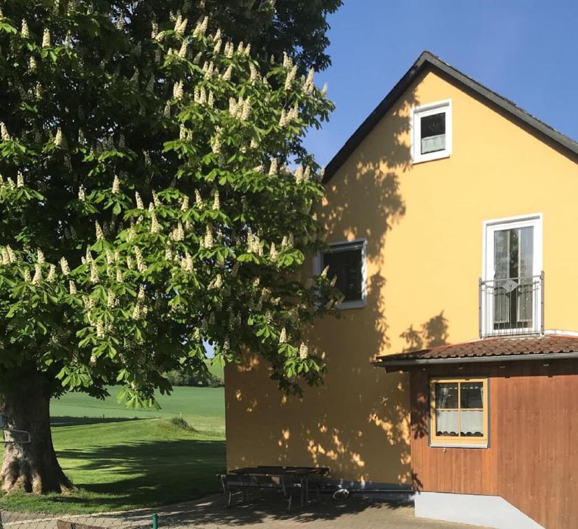 uma casa amarela com uma árvore em frente em Ferienwohnung Anna mit Blick ins Grüne em Moosbach