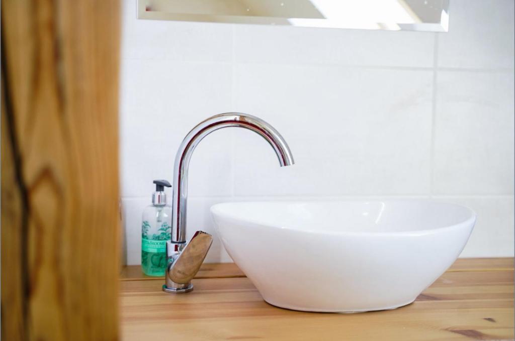 a white bowl sink sitting on top of a counter at Apartmán Národní in Karlovy Vary