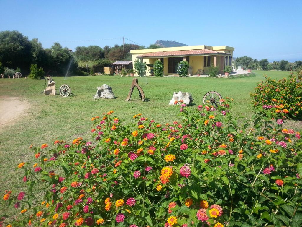 two dogs laying in the grass in a field with flowers at Villa Paola in Valledoria