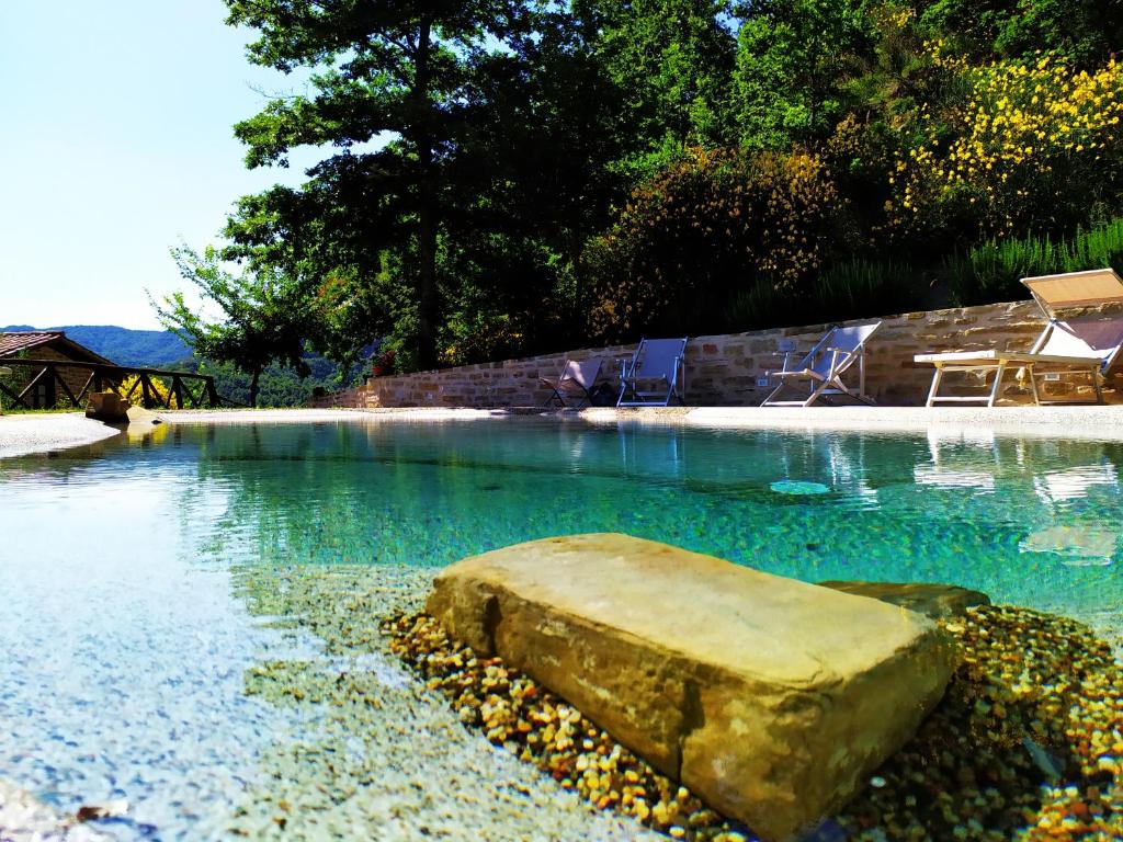 - une piscine avec un rocher dans l'eau dans l'établissement Frigino Agriturismo, à Molino Abbadia