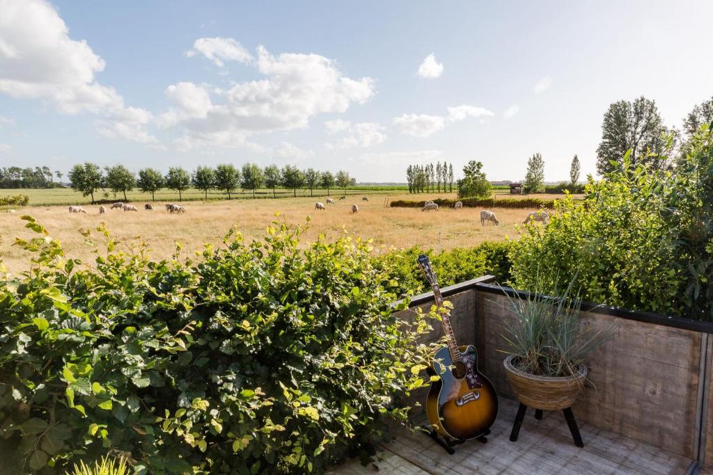 a guitar sitting next to a field with animals at De Meisjes in Middelburg