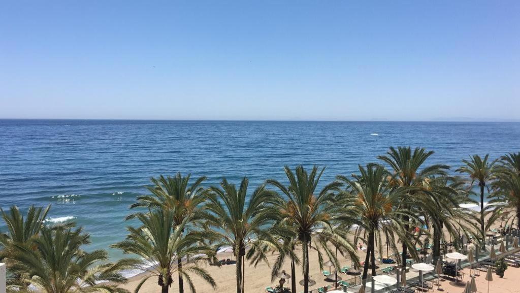 a view of the beach with palm trees and the ocean at Las Palmas 1 in Marbella