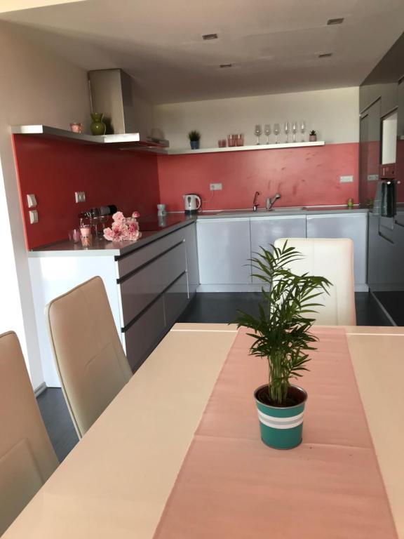 a kitchen with a table with a plant on it at Panorama Apartman in Velence