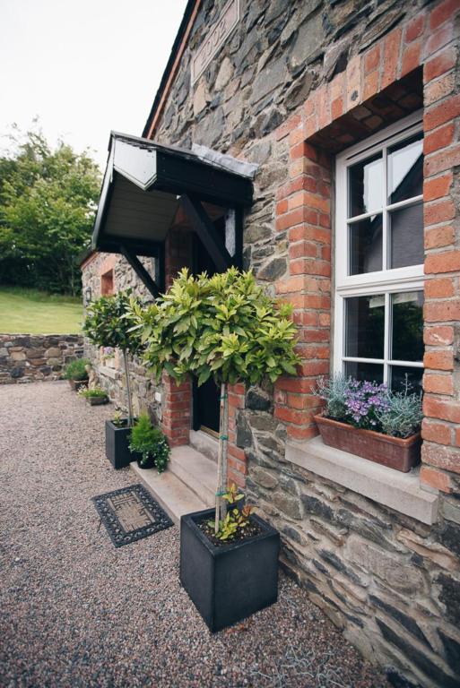 a brick building with potted plants in front of a window at Bay Tree Cottage in Hillsborough