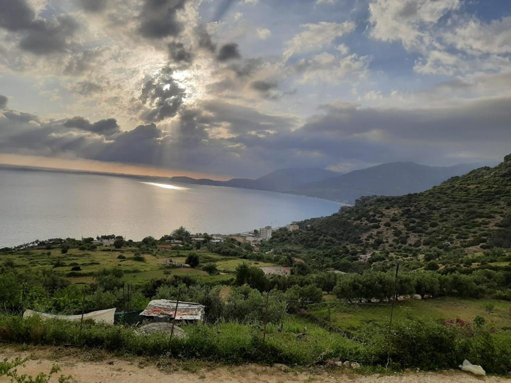 Camping Jungle in Borsh - Imazhi 6