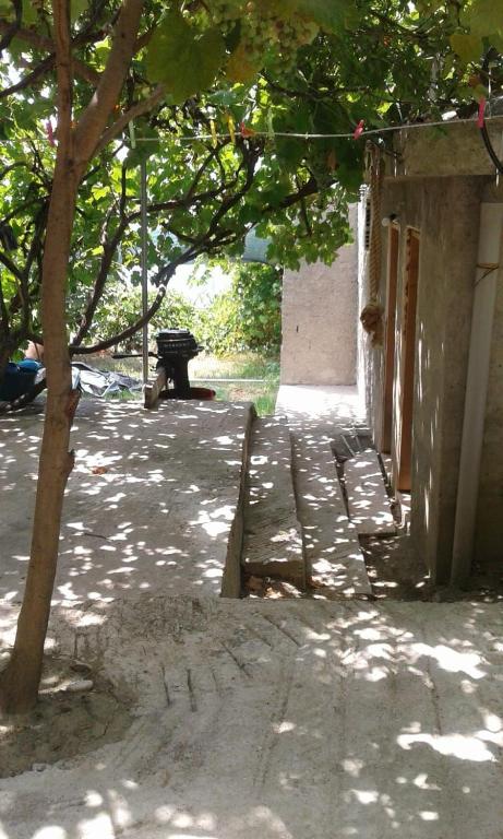 Zahrada ubytování Camping Jungle in Borsh