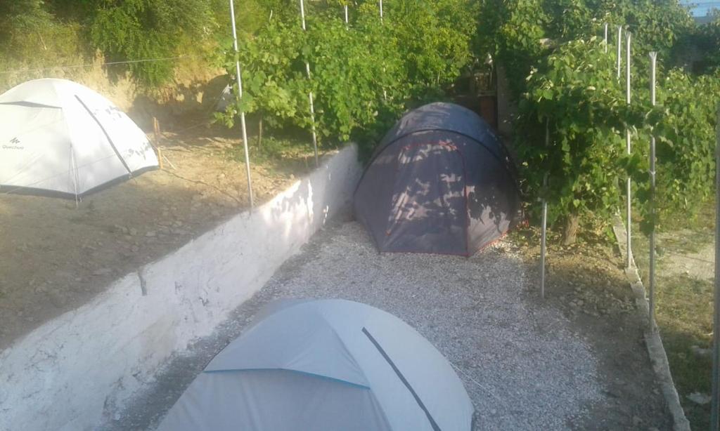 Fotografie z fotogalerie ubytování Camping Jungle in Borsh v destinaci Borsh
