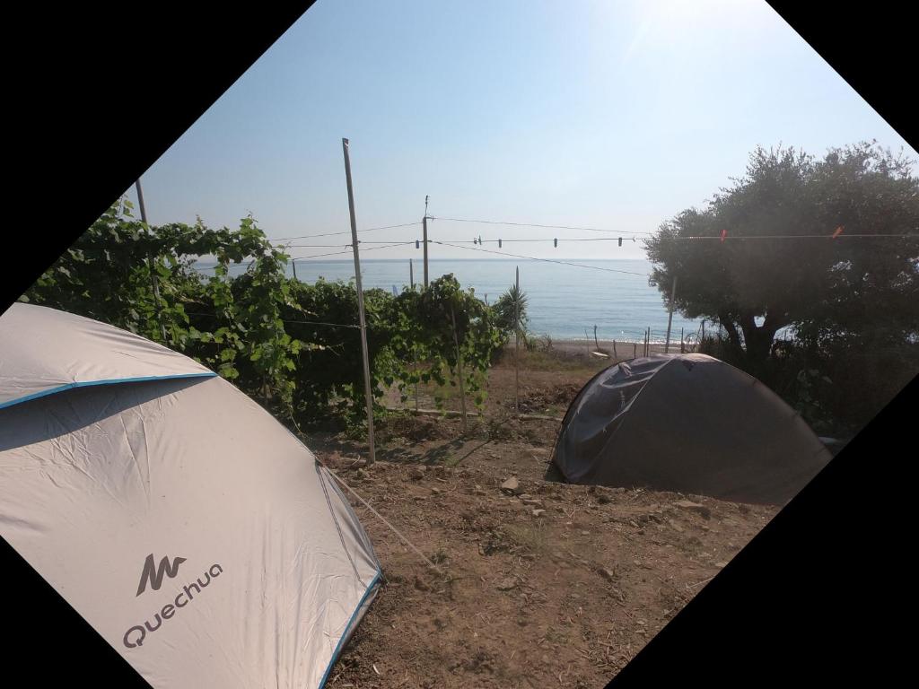 two tents in a field with the ocean in the background at Camping Jungle in Borsh in Borsh