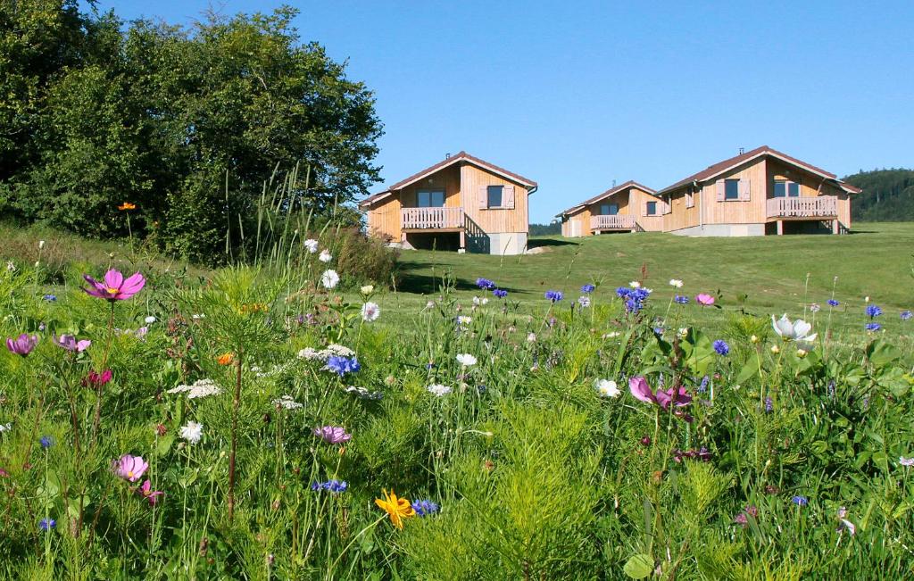 un campo de flores frente a las casas en Chalets de Trémontagne 3 étoiles en Prénovel