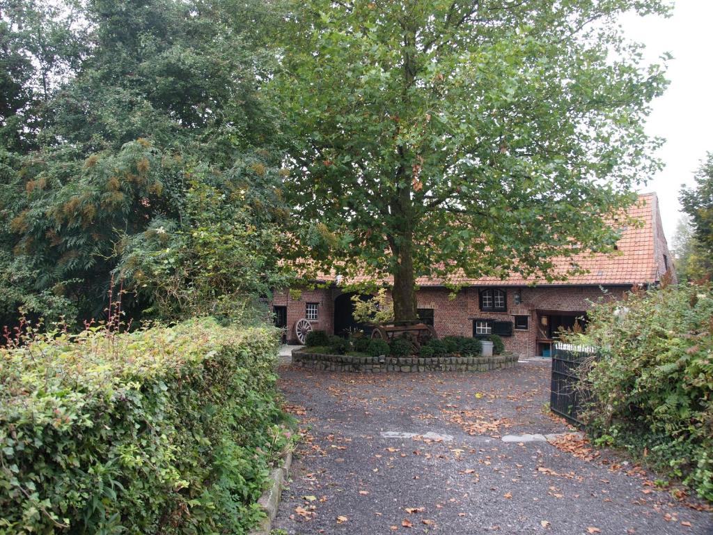 Zahrada ubytování Grote Goesting holiday house