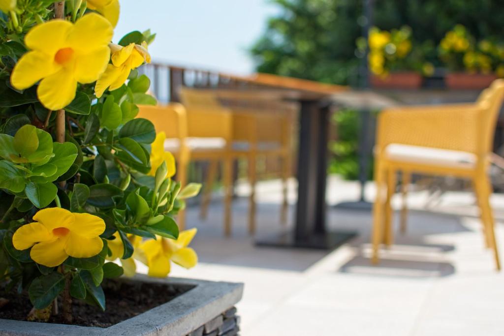 Fotografie z fotogalerie ubytování Sea View Guesthouse Opara v destinaci Piran