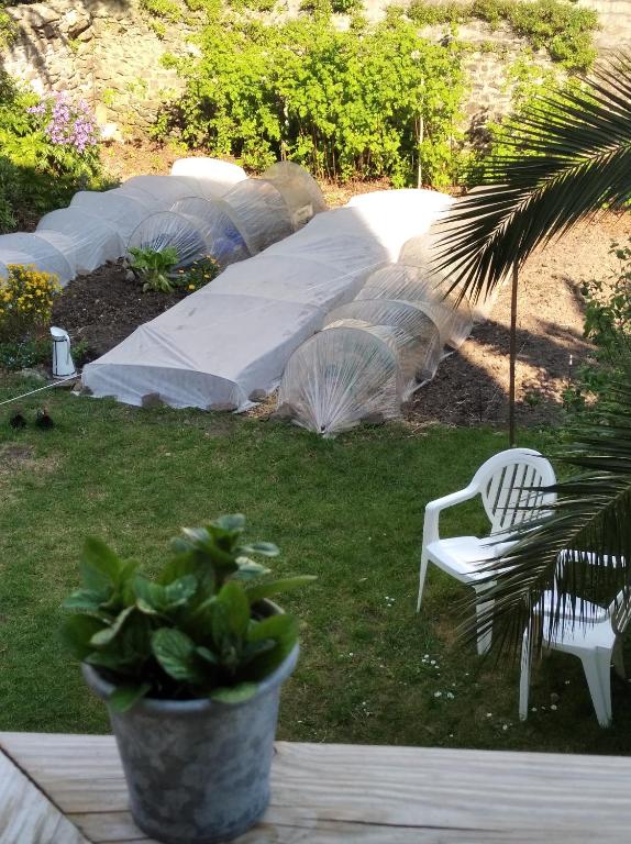 un jardin avec plusieurs tentes avec une chaise et une plante dans l'établissement grande terrasse arborée, à Brest