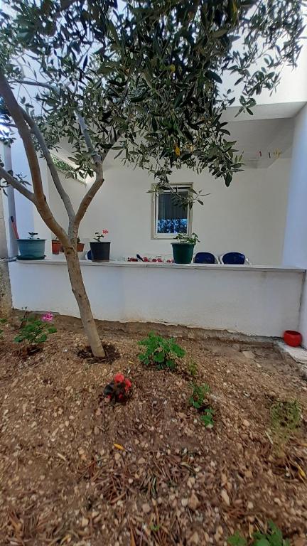 Vonkajšia záhrada v ubytovaní Apartments Slavica
