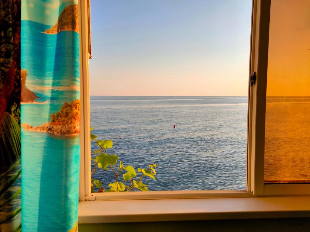 ロオにあるGuest House Elling Solnechniyの窓から海の景色を望めます。