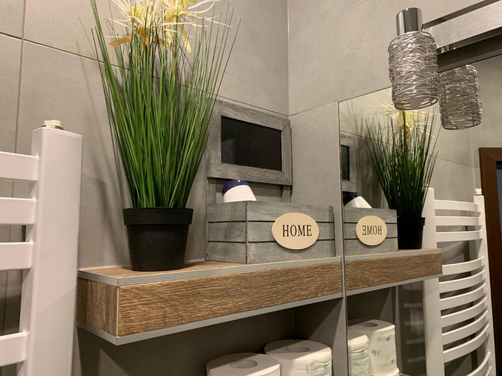 Apartamenty Zacisze - 5