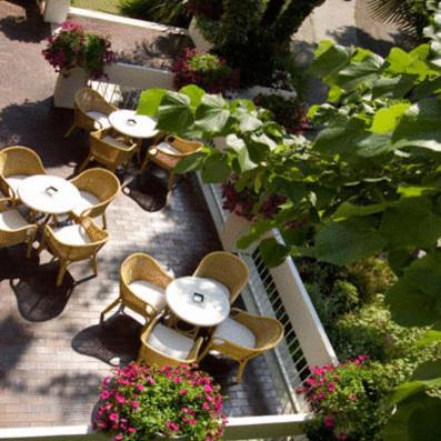 Zahrada ubytování Hotel Mar Del Plata