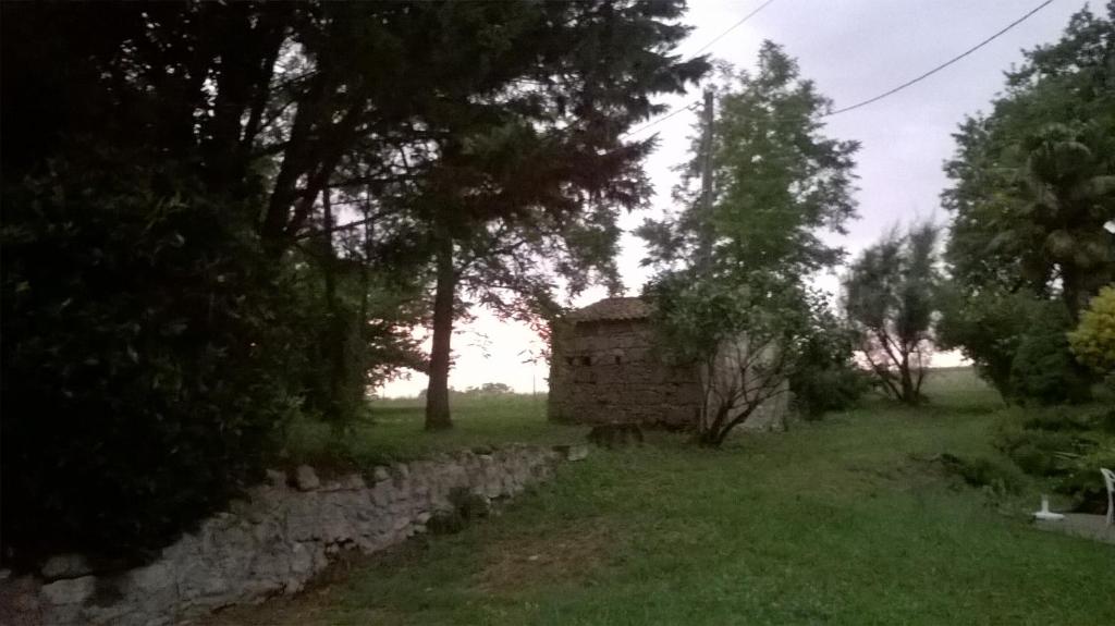 Příroda nedaleko bed and breakfast