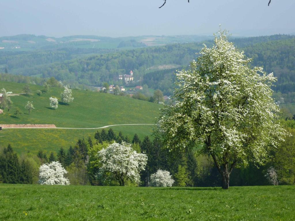 Příroda nedaleko farmy