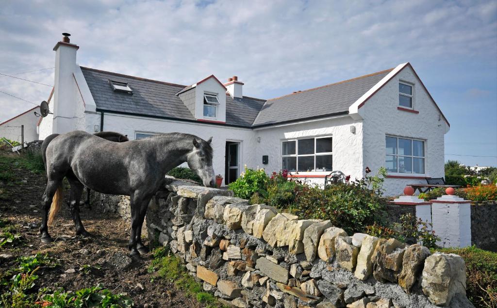 Altri animali domestici presso il bed & breakfast o nei dintorni