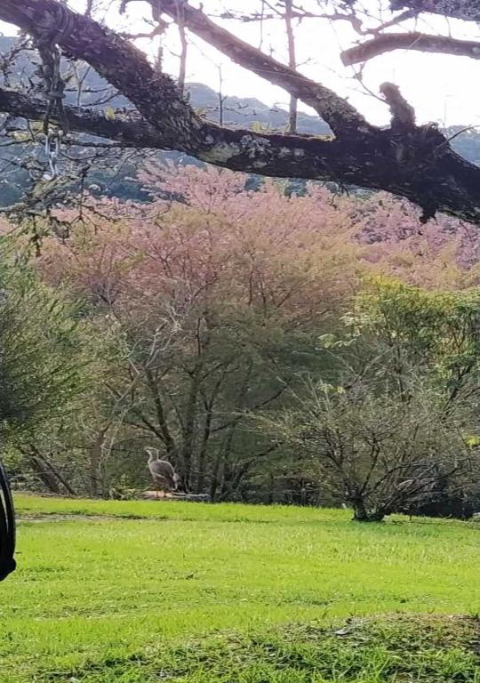  Pousada Caminho da Roça