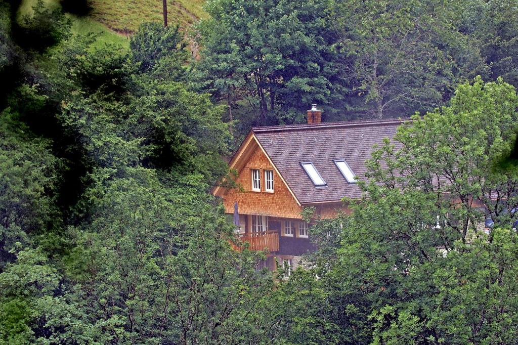 Příroda nedaleko prázdninového domu
