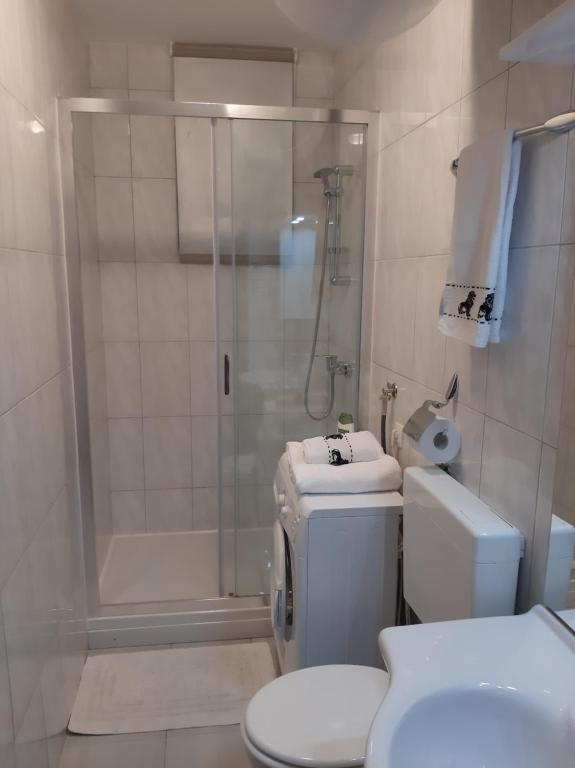 Kúpeľňa v ubytovaní Apartments Agrijan