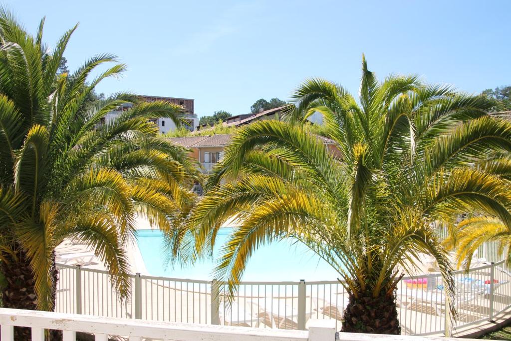 un groupe de palmiers à côté d'une piscine dans l'établissement Anglet : Duplex dans résidence avec piscine, à Anglet