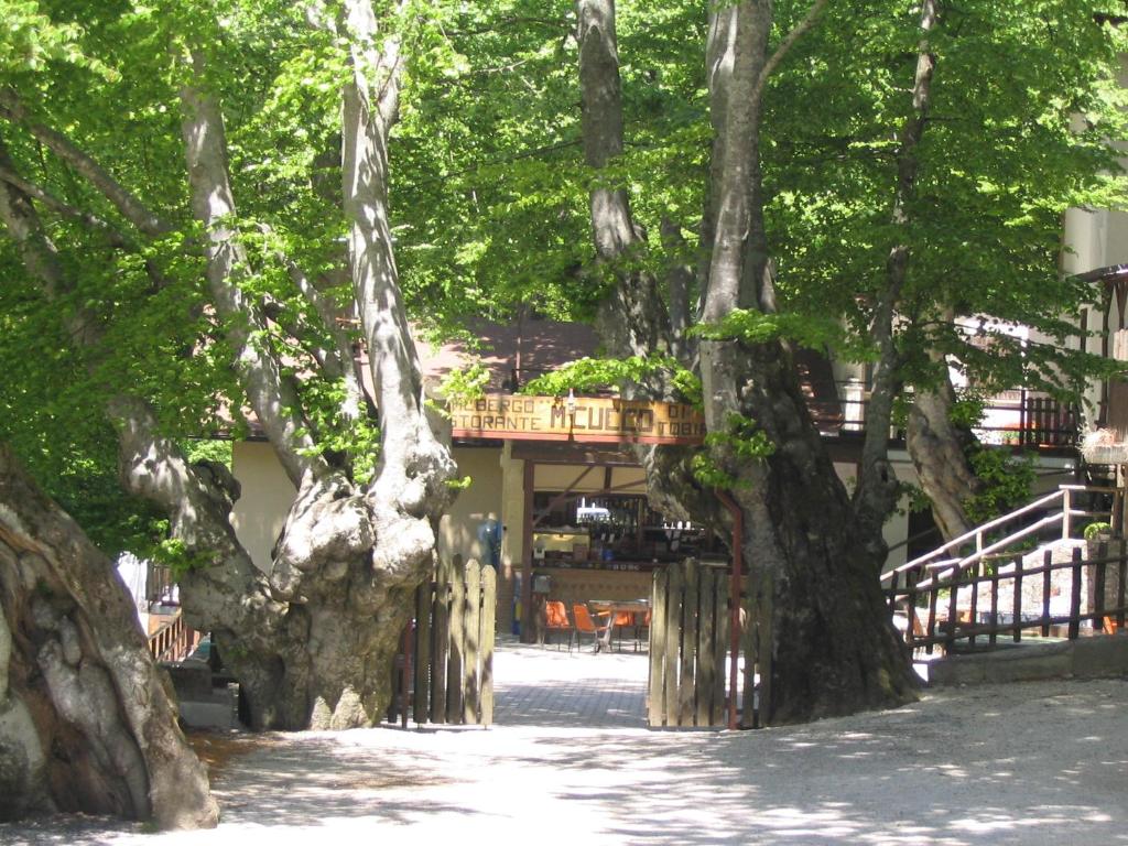 un edificio con un ponte dietro alcuni alberi di Albergo Ristorante Montecucco da Tobia a Sigillo