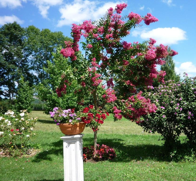 Zahrada ubytování Domaine Véga