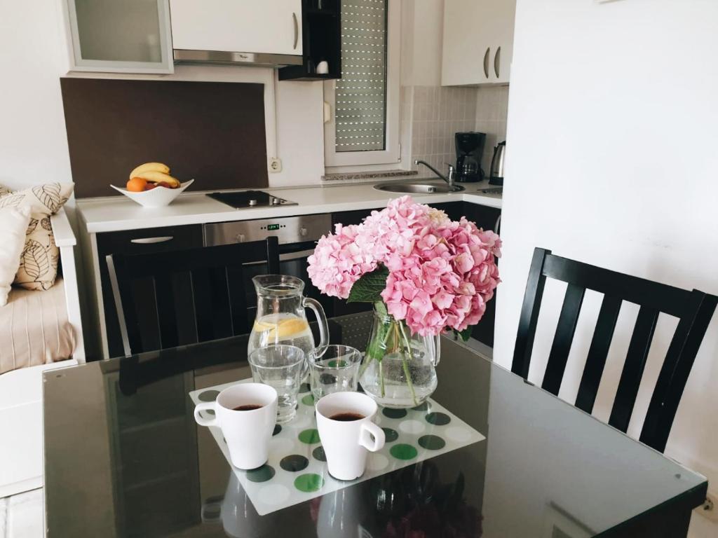 Apartments Paklenica - Apartamento De Una Habitación Con Balcón