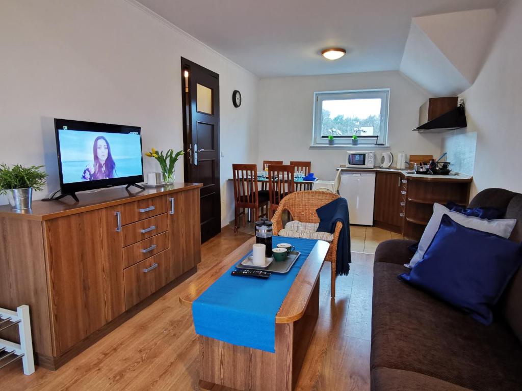 a living room with a couch and a tv at Apartamenty i pokoje Skrzypkowscy.pl in Karwia