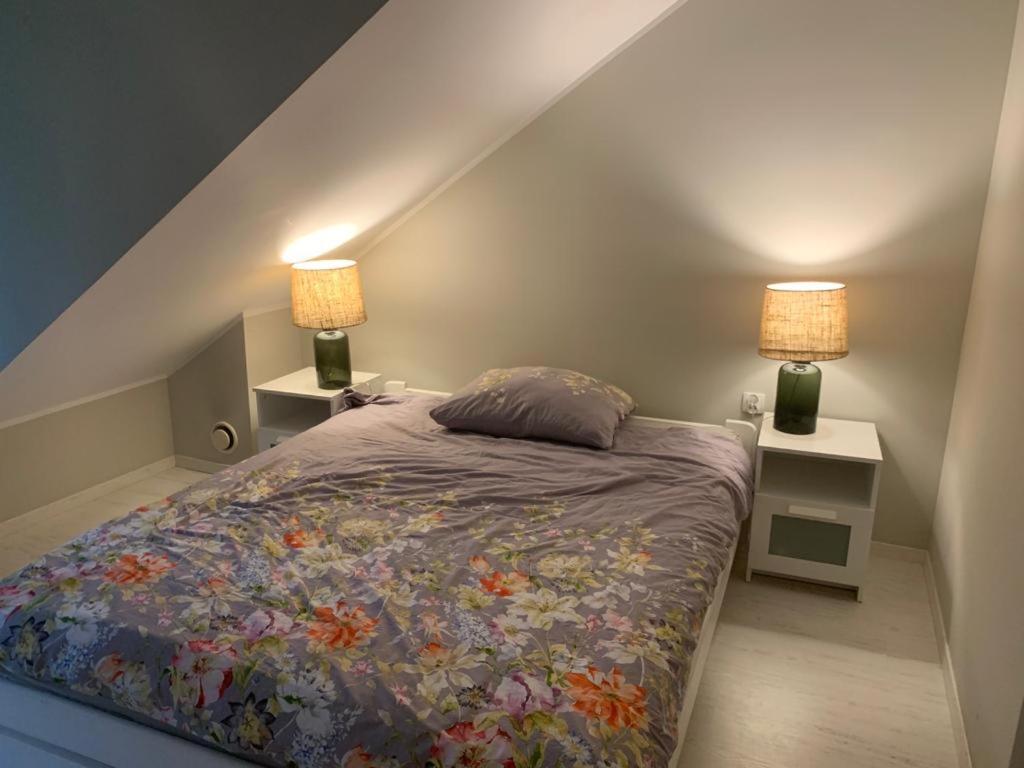 een slaapkamer met een bed en twee nachtkastjes met lampen bij Domek wypoczynkowy w lesie nad jeziorem in Ocypel