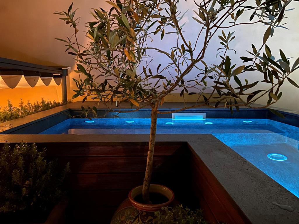 a plant in a pot next to a swimming pool at Relais 147 - Luxury b&b in Taormina